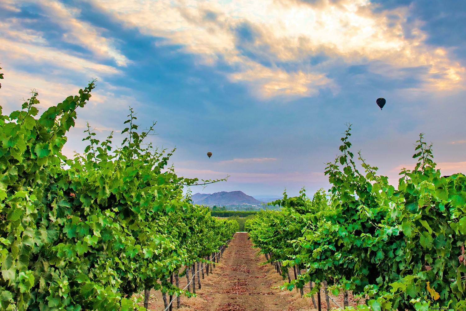 7 Must-Visit Day Trip Destinations Near Temecula Valley in Southern California
